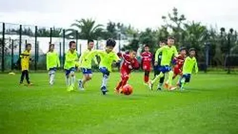 开云体育平台 资讯 084635 ykd