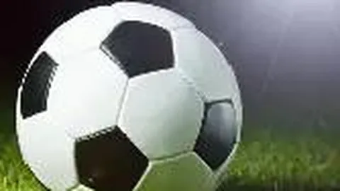 开云体育平台 资讯 084541 the