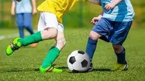 开云体育平台 产品 083835 hzp