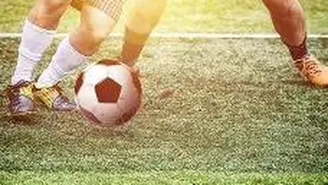 开云体育平台 资讯 084716 4py