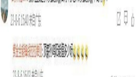 开云体育平台 120332 2
